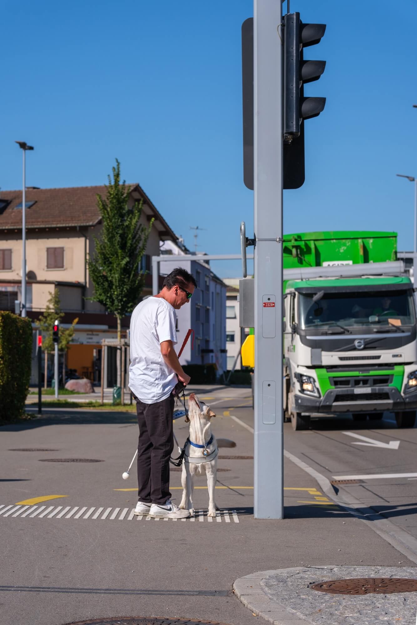 Roger gibt Layla eine Belohnung, nachdem sie erfolgreich den Schalter einer Strassenlampe durch ihre Führarbeit angezeigt hat.
