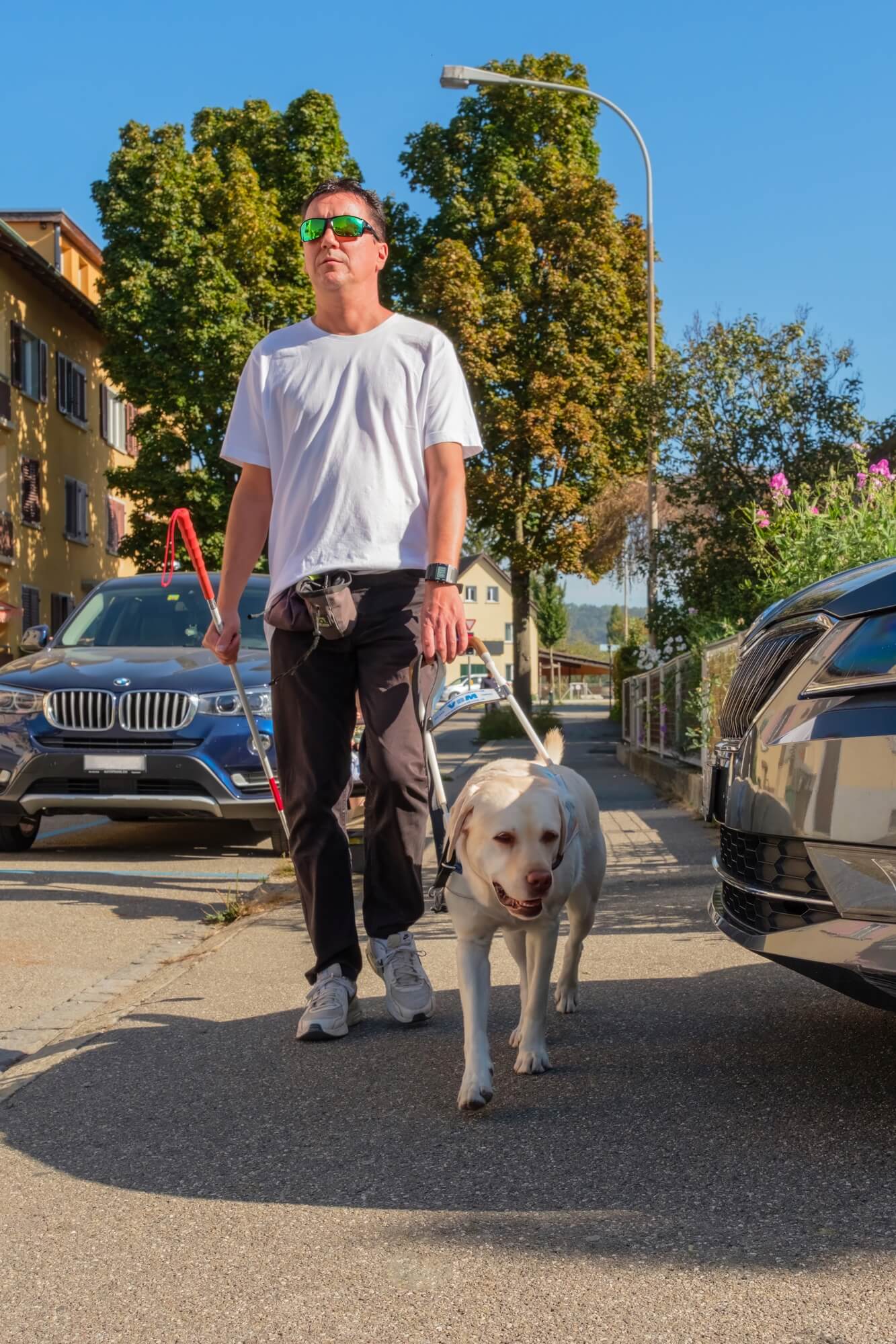 Layla leitet Roger gekonnt um ein auf dem Gehweg parkendes Auto herum, während ihrer Aufgabe als Blindenführhund.