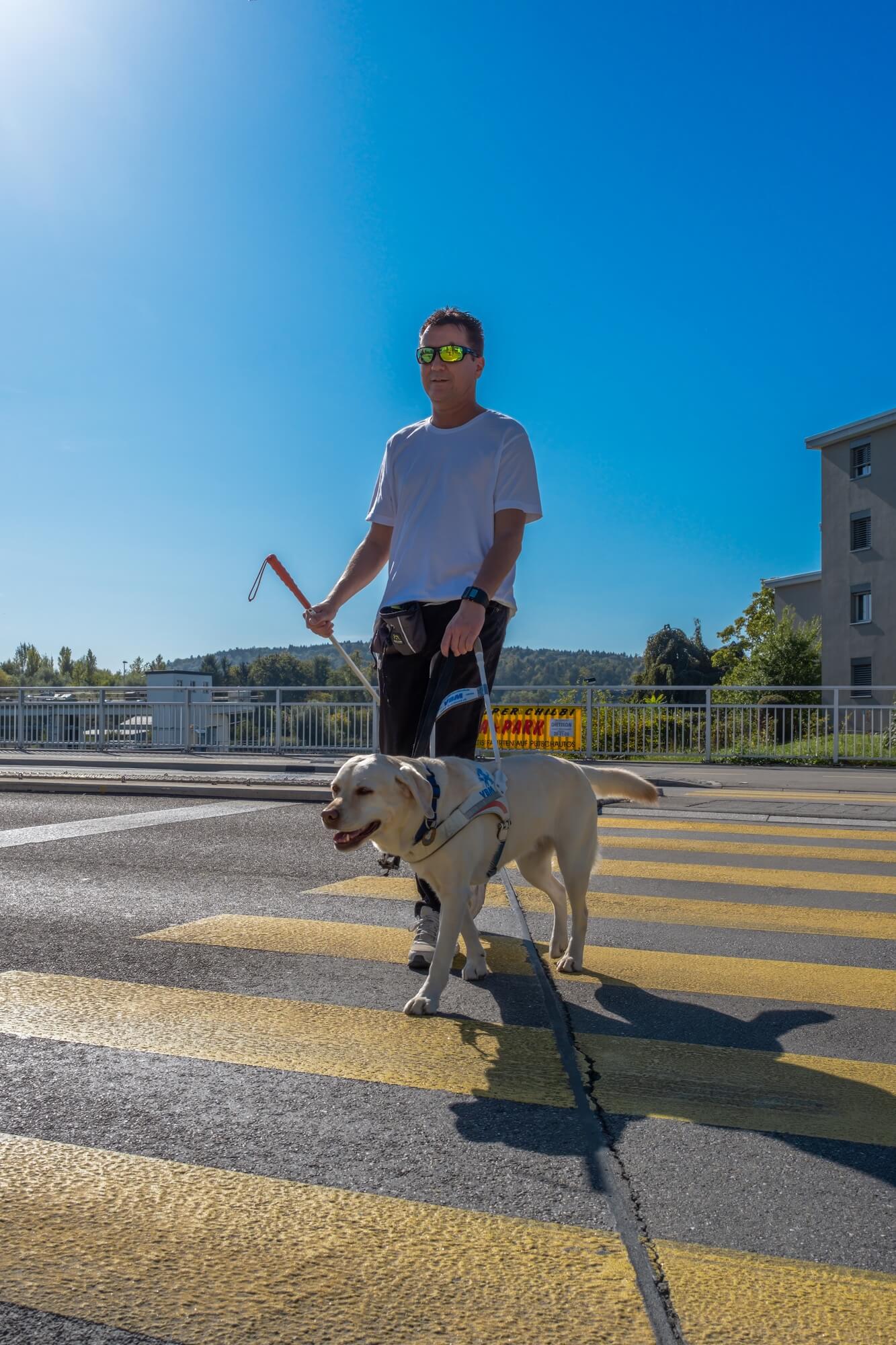 Roger und seine Blindenführhündin Layla überqueren sicher einen Zebrastreifen.