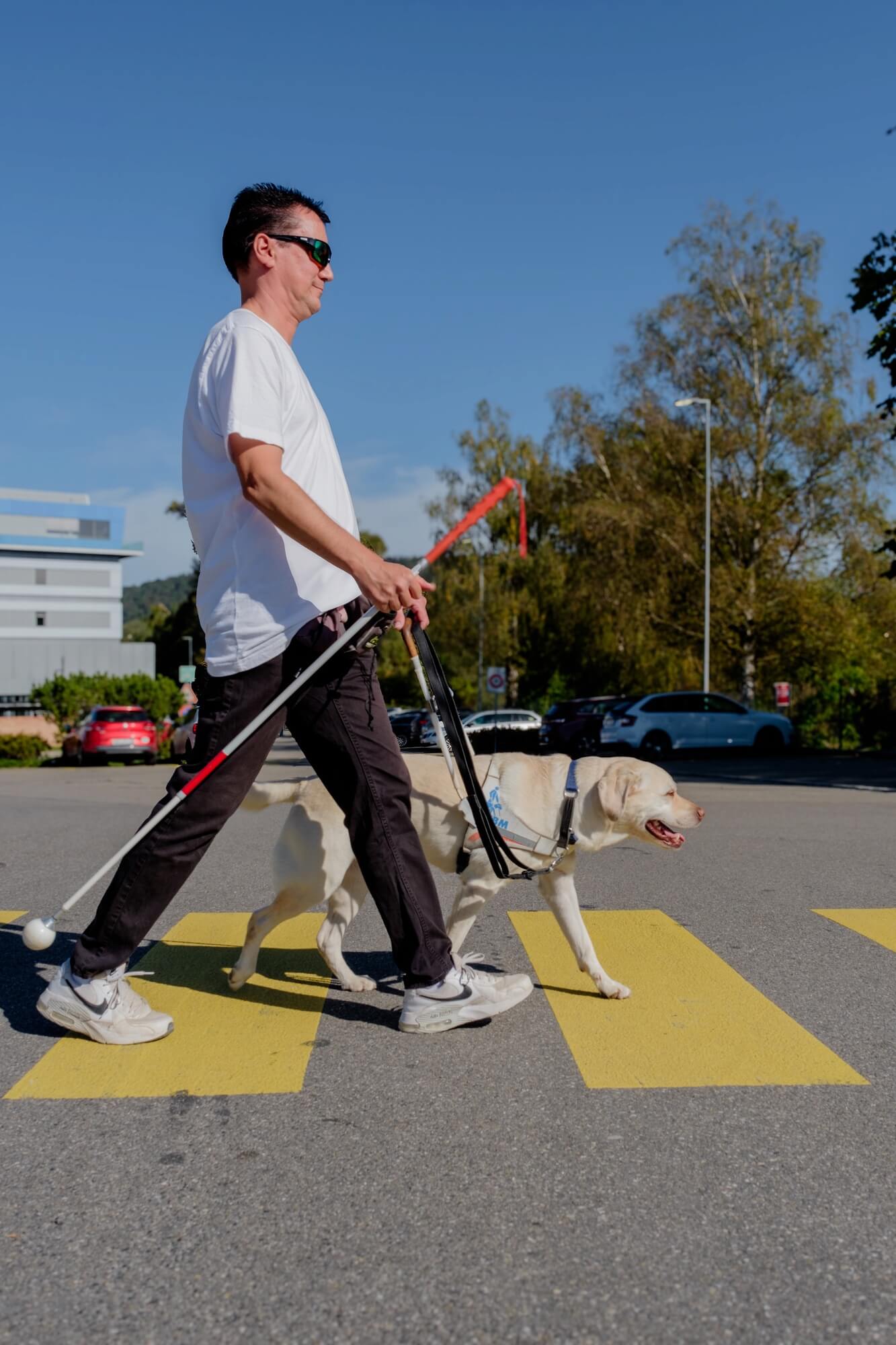 Seitliche Ansicht von Roger und Layla, wie sie gemeinsam einen Fussgängerüberweg auf einem Zebrastreifen überqueren.