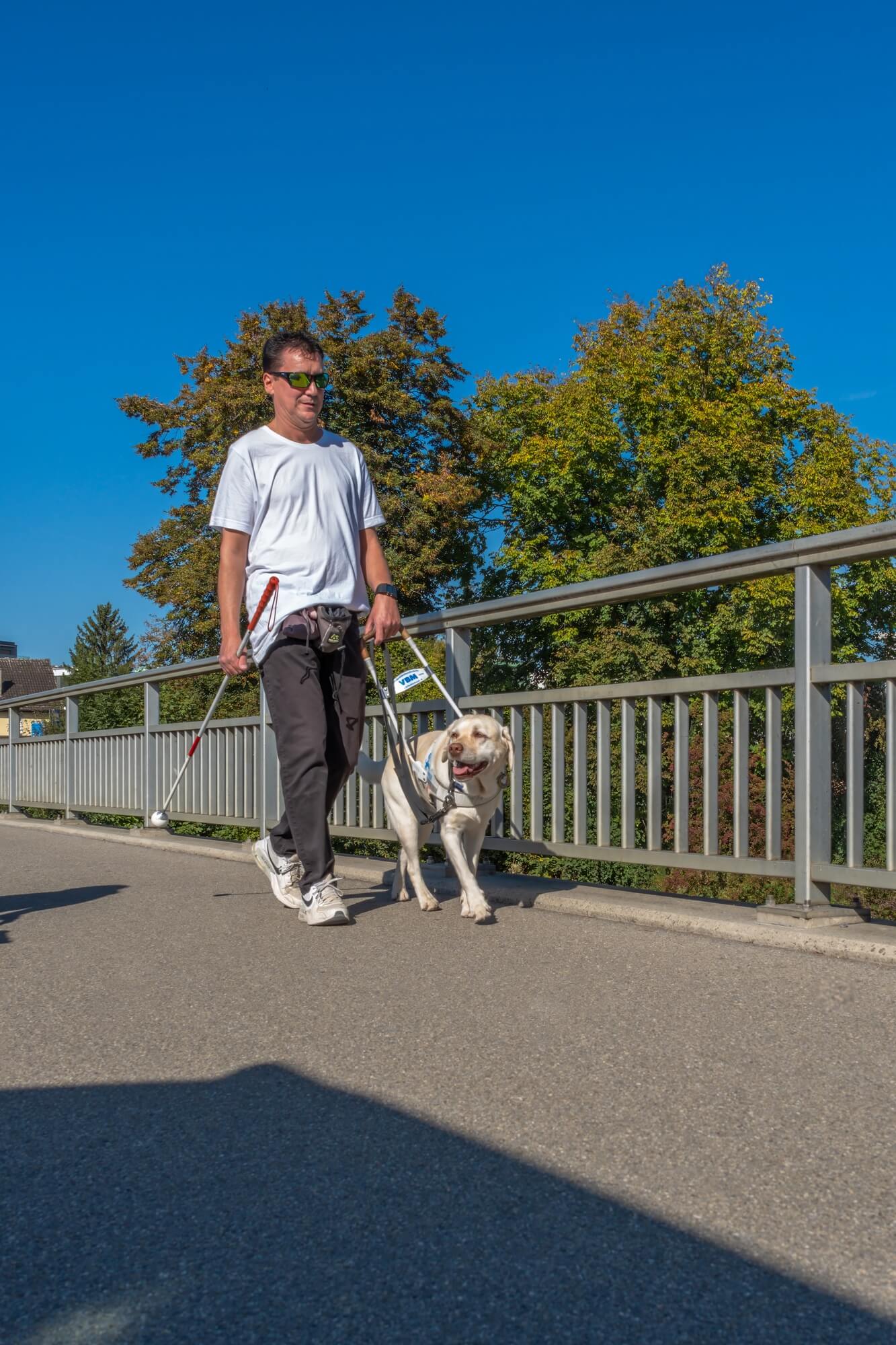 Roger geht bei sommerlicher Hitze und strahlendem Sonnenschein mit Layla an einem Führgeschirr über eine städtische Strassenbrücke.