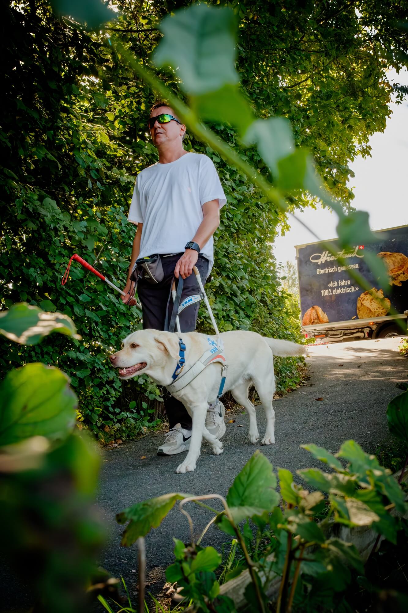 Blick durch dichtes Grün auf Roger und Blindenführhündin Layla, wie sie von der belebten Hauptstrasse auf einen ruhigeren Wald- und Flussweg abbiegen.